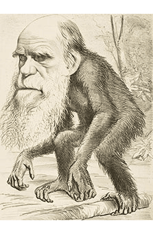 a cartoon picture of Charles Darwin