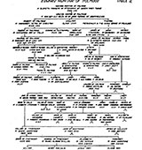 picture showing the genealogy of the Hunters of Polmood